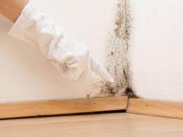 Best Mold Odor Removal Services  in Grandyle Village, NY